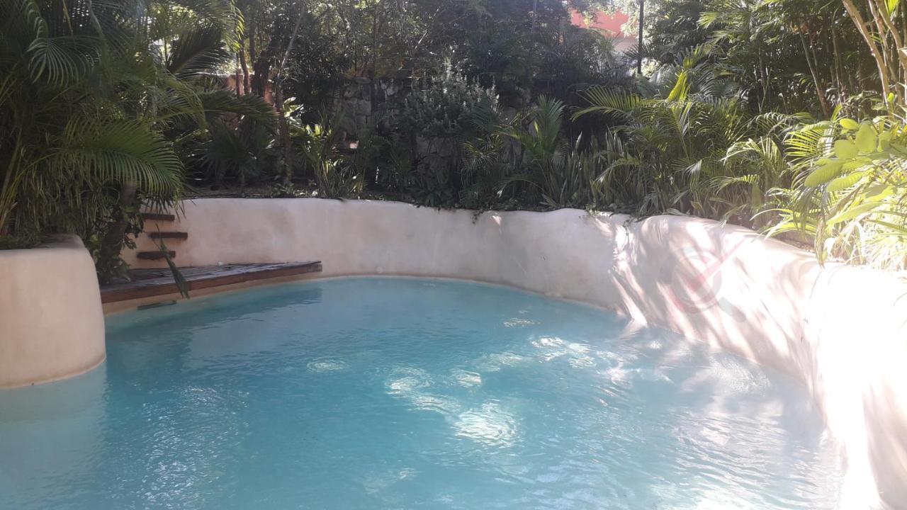New Luxury Suite Con Plunge Pool Privado 툴룸 외부 사진