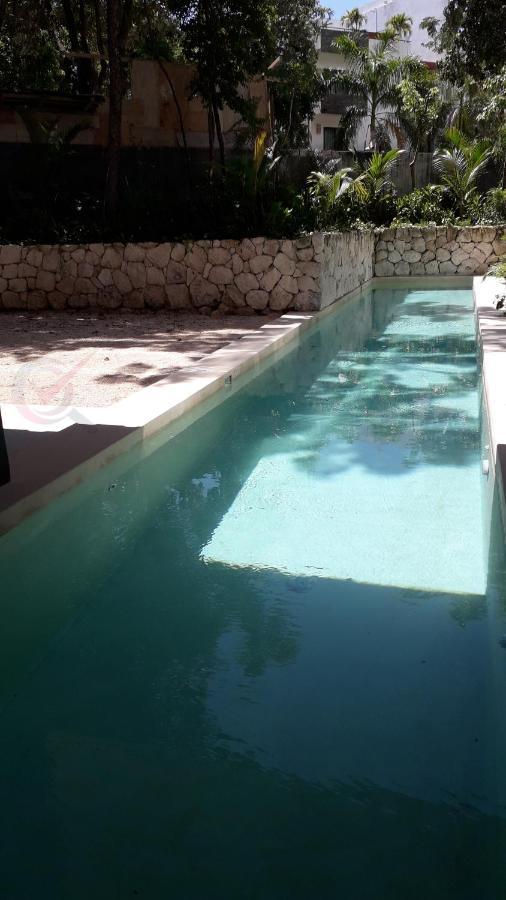 New Luxury Suite Con Plunge Pool Privado 툴룸 외부 사진