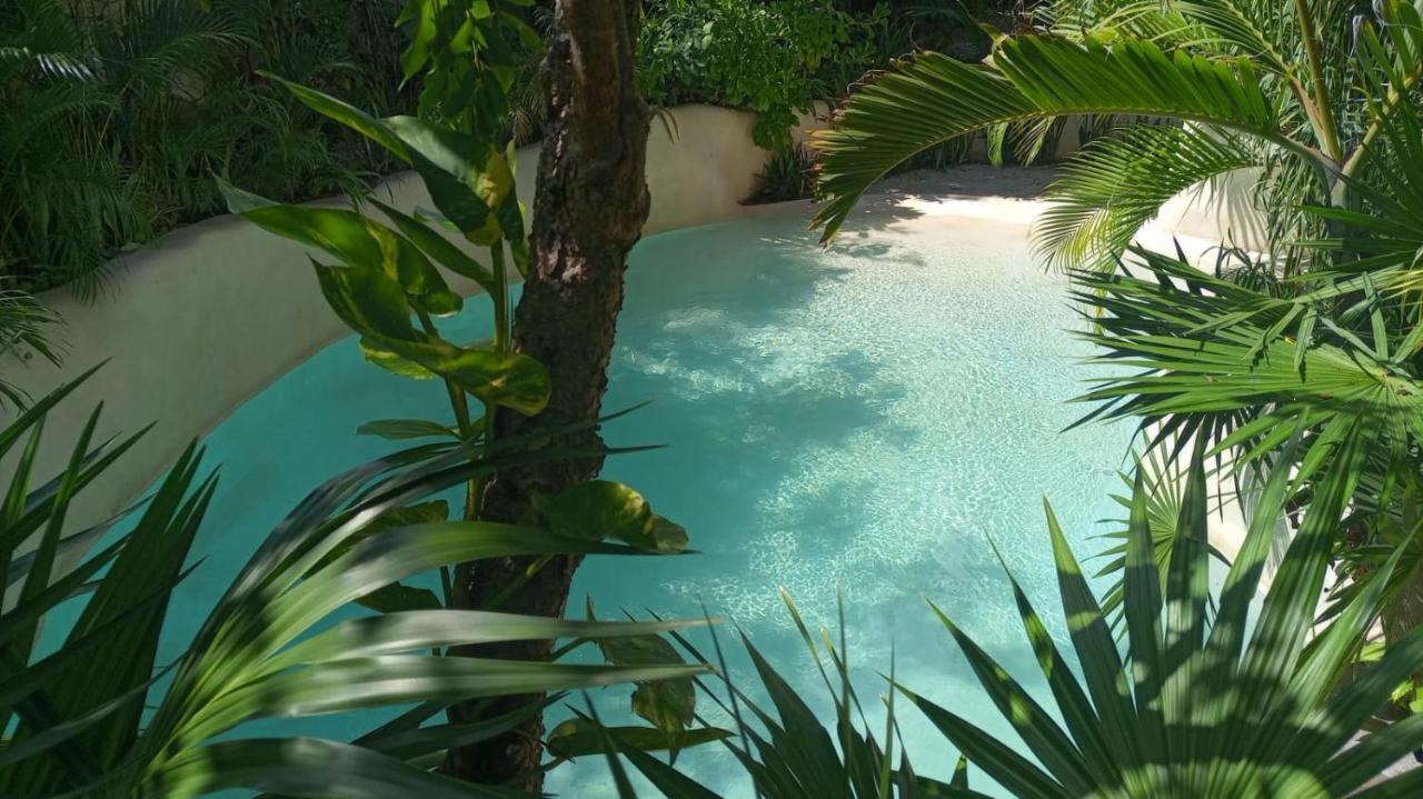 New Luxury Suite Con Plunge Pool Privado 툴룸 외부 사진