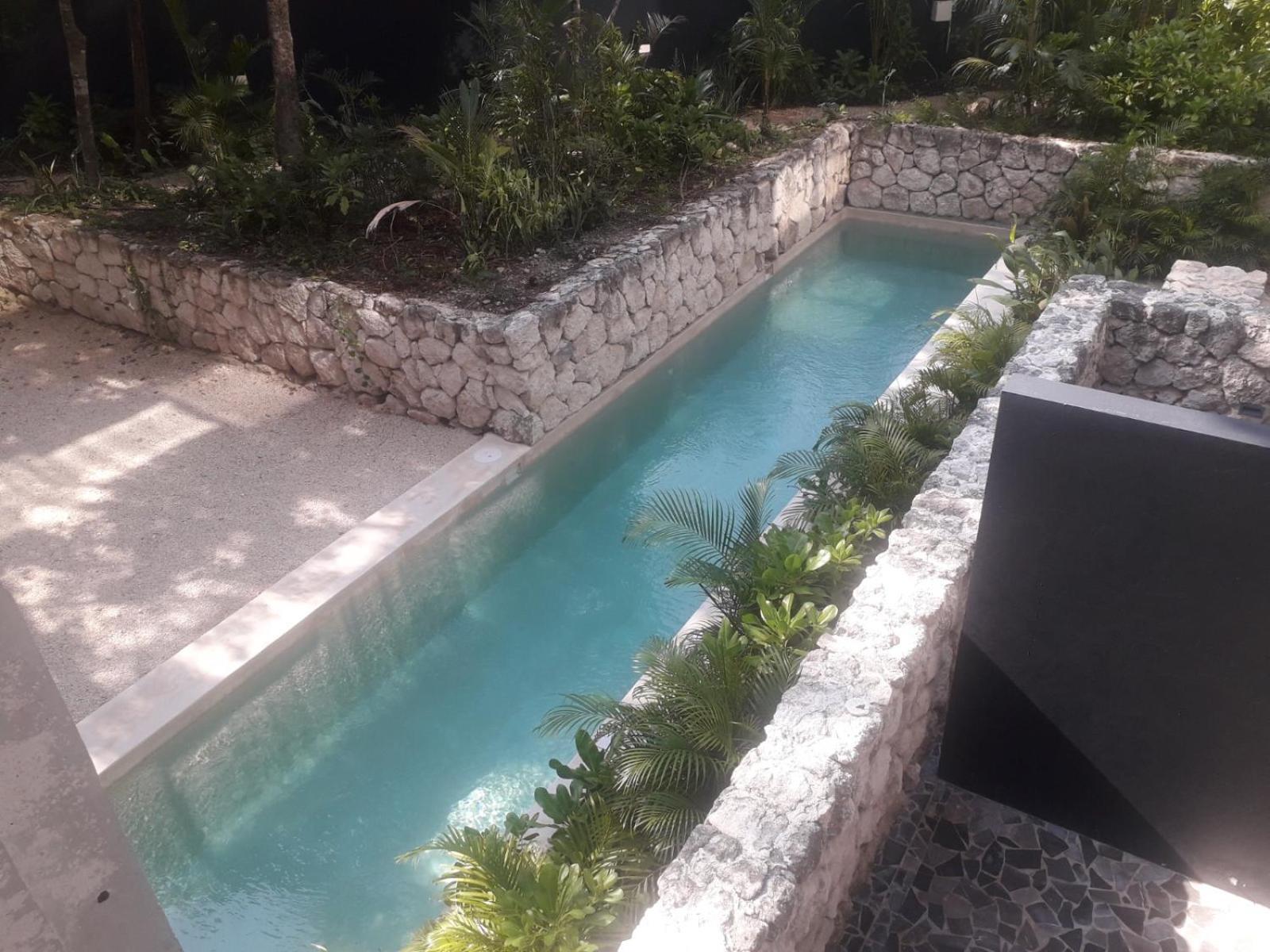 New Luxury Suite Con Plunge Pool Privado 툴룸 외부 사진